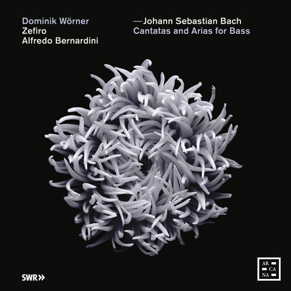 Alfredo Bernardini, Zefiro & Dominik Worner – Bach: Cantatas and Arias for Bass (2019) [FLAC 24bit/48kHz]