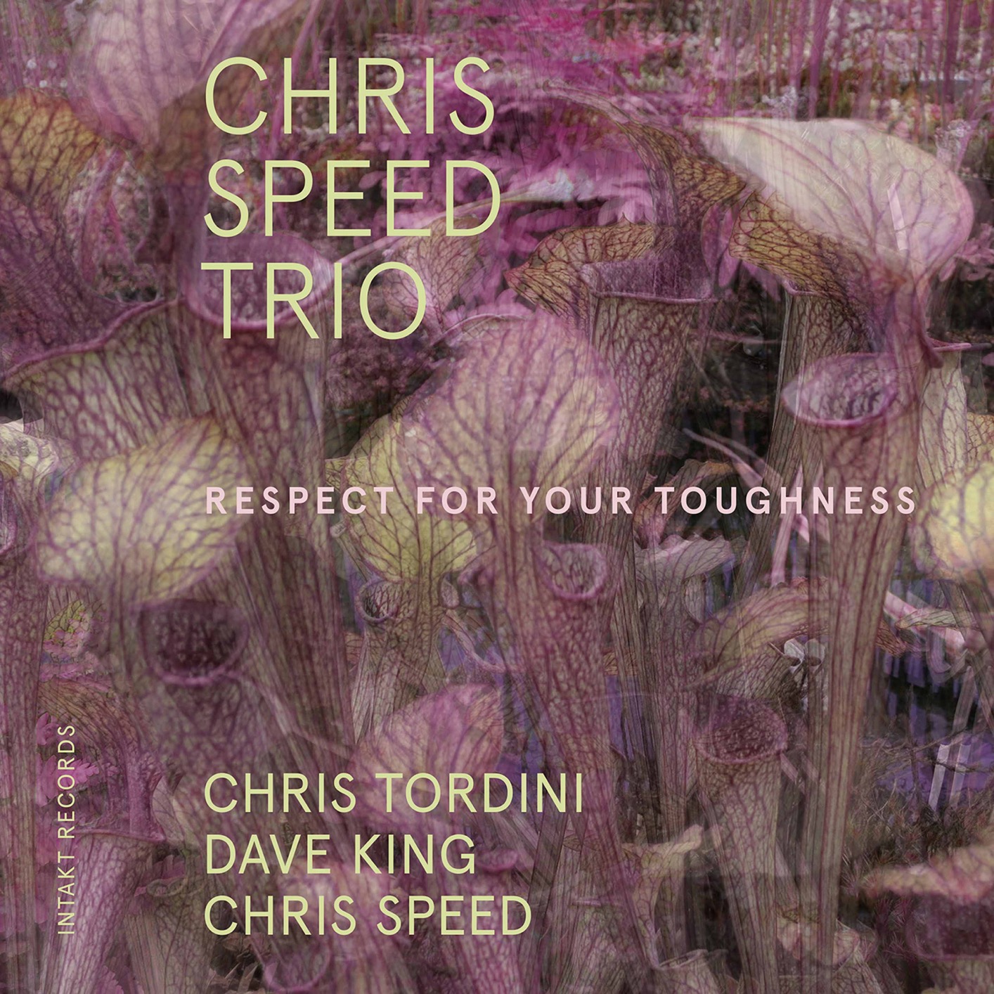 Chris Speed Trio - Respect for Your Toughness (feat. Chris Tordini & Dave King) (2019) [FLAC 24bit/48kHz]
