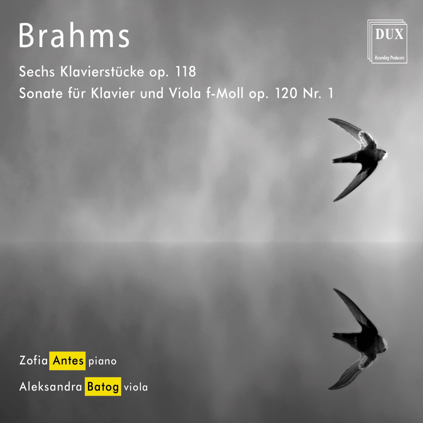 Zofia Antes & Aleksandra Batog – Brahms: Chamber Works (2019) [FLAC 24bit/192kHz]