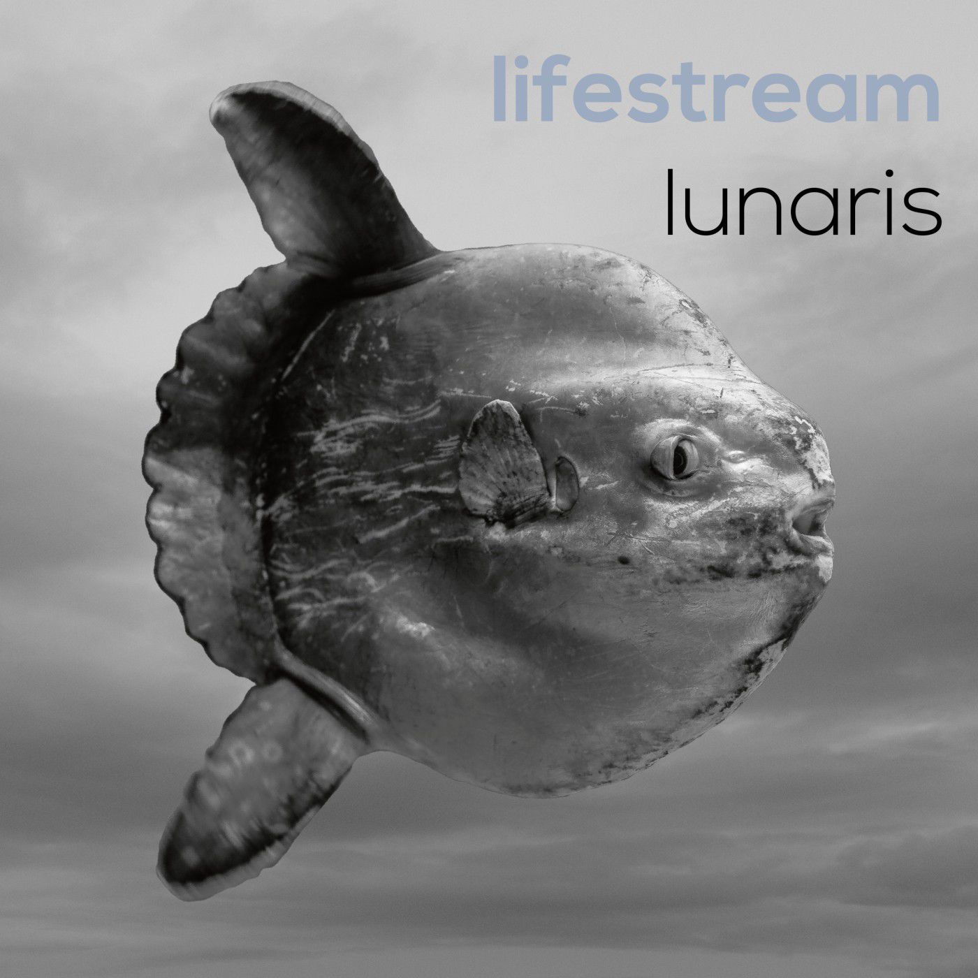Lifestream – Lunaris (2017) [FLAC 24bit/44,1kHz]