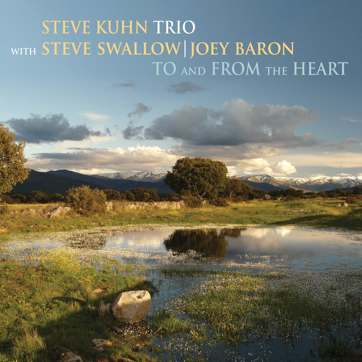 Steve Kuhn Trio - To and from the Heart (2018) [FLAC 24bit/96kHz]