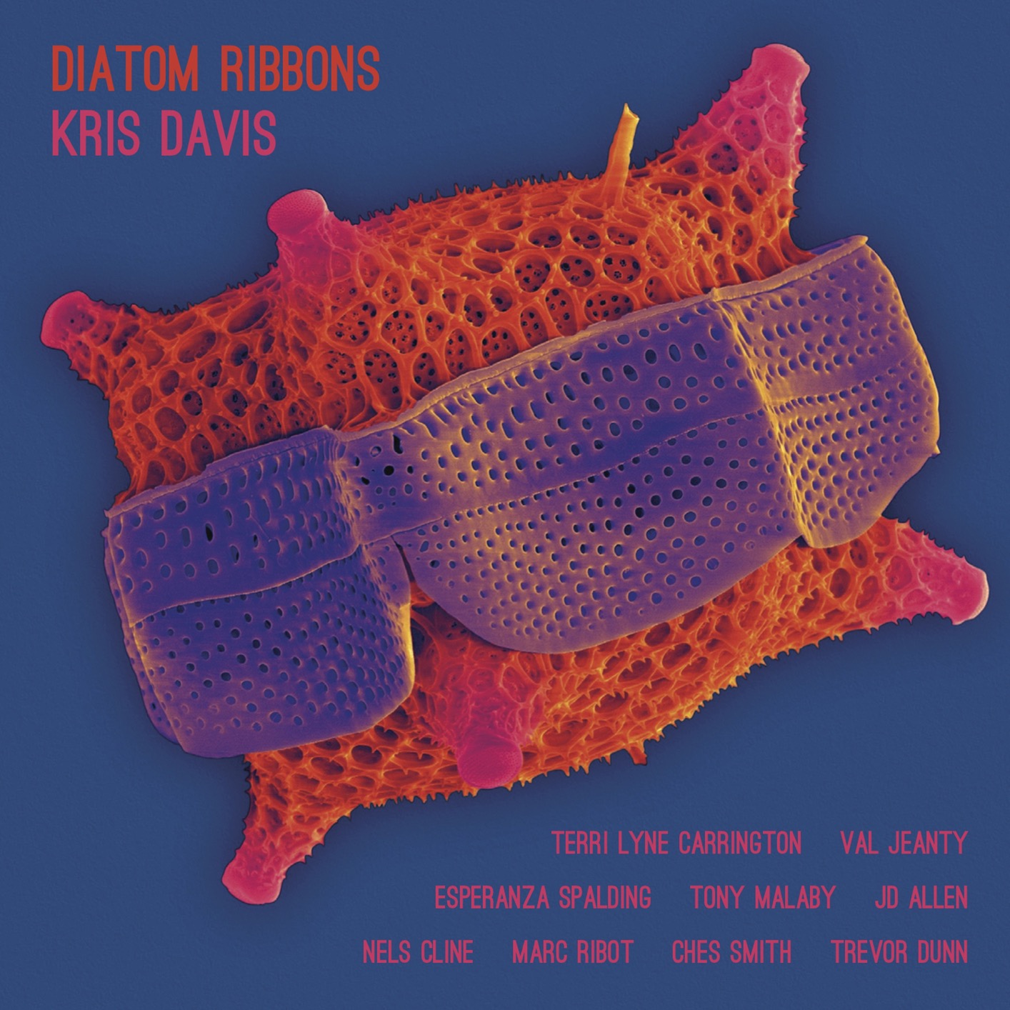 Kris Davis - Diatom Ribbons (2019) [FLAC 24bit/96kHz]