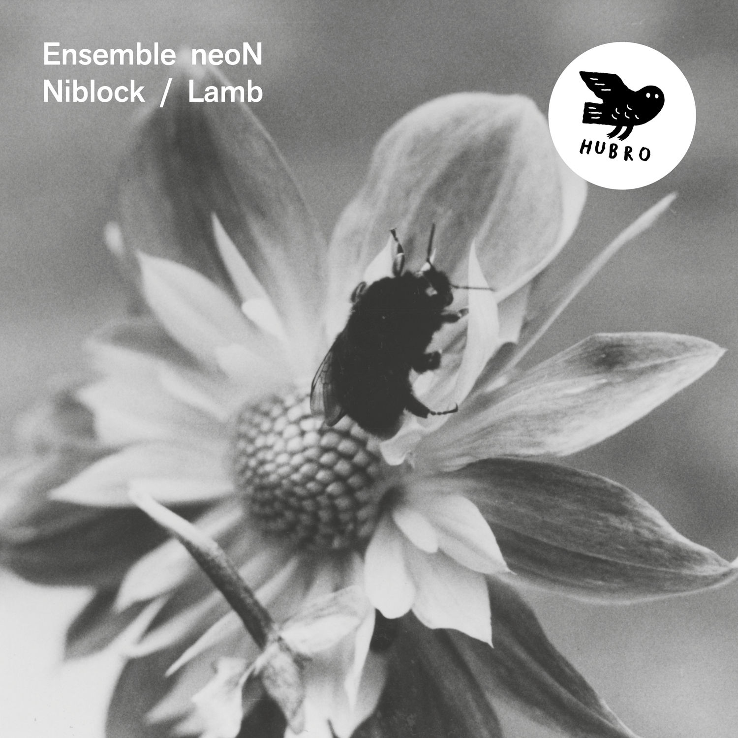 Ensemble neoN – Niblock/Lamb (2019) [FLAC 24bit/48kHz]