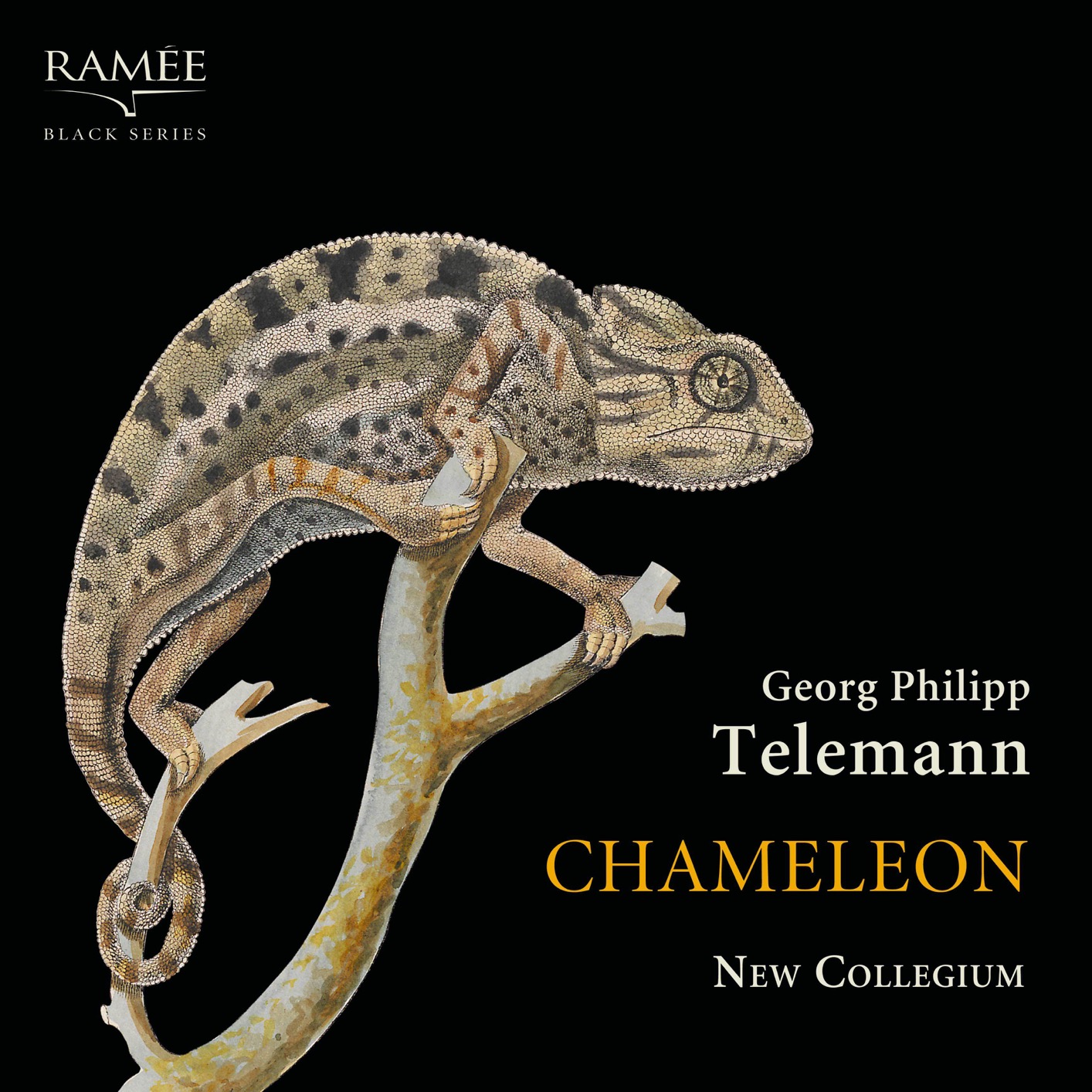 New Collegium – Telemann: Chameleon (2019) [FLAC 24bit/96kHz]