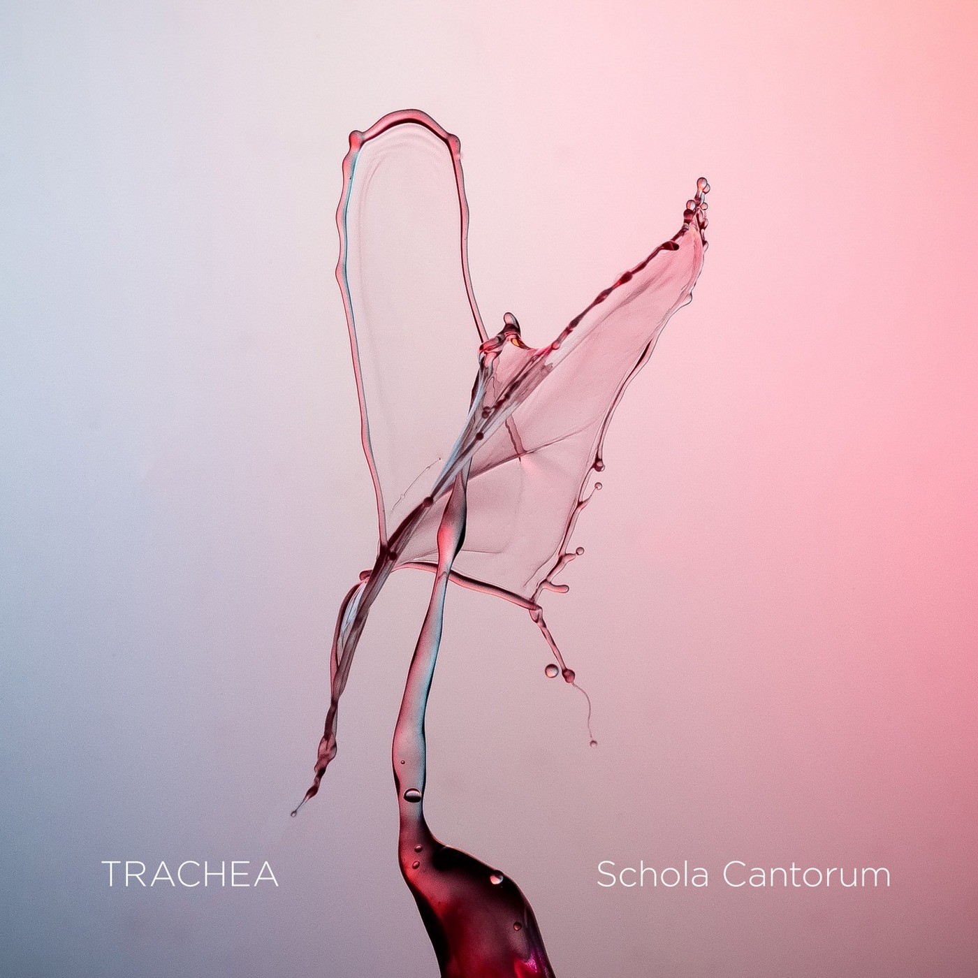 Schola Cantorum & Tone Bianca Sparre Dahl - Trachea (2019) [FLAC 24bit/176,4kHz]