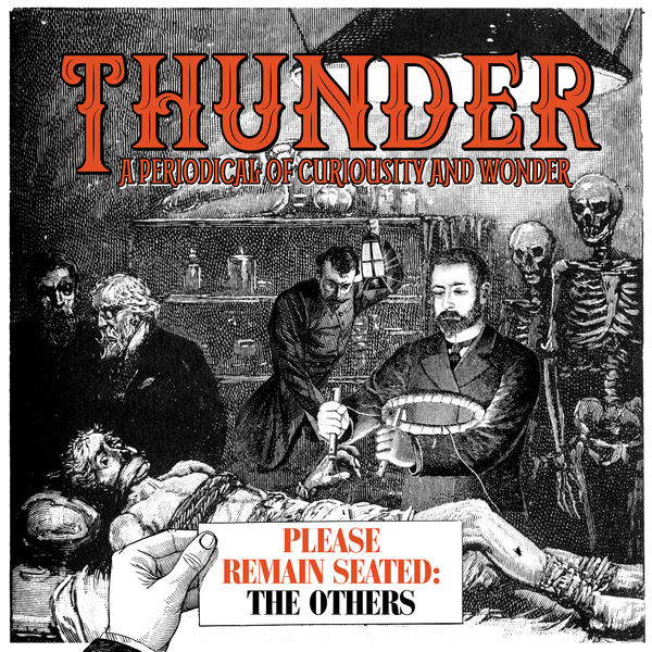 Thunder - Please Remain Seated - The Others (2019) [FLAC 24bit/96kHz]