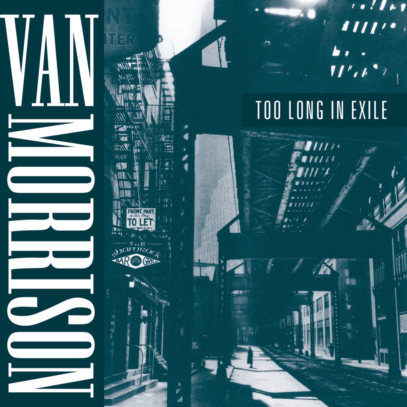 Van Morrison - Too Long in Exile (Remastered) (1993/2020) [FLAC 24bit/96kHz]