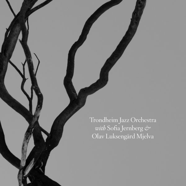 Trondheim Jazz Orchestra – Trondheim Jazz Orchestra with Sofia Jernberg & Olav Luksengard Mjelva (2019) [FLAC 24bit/96kHz]