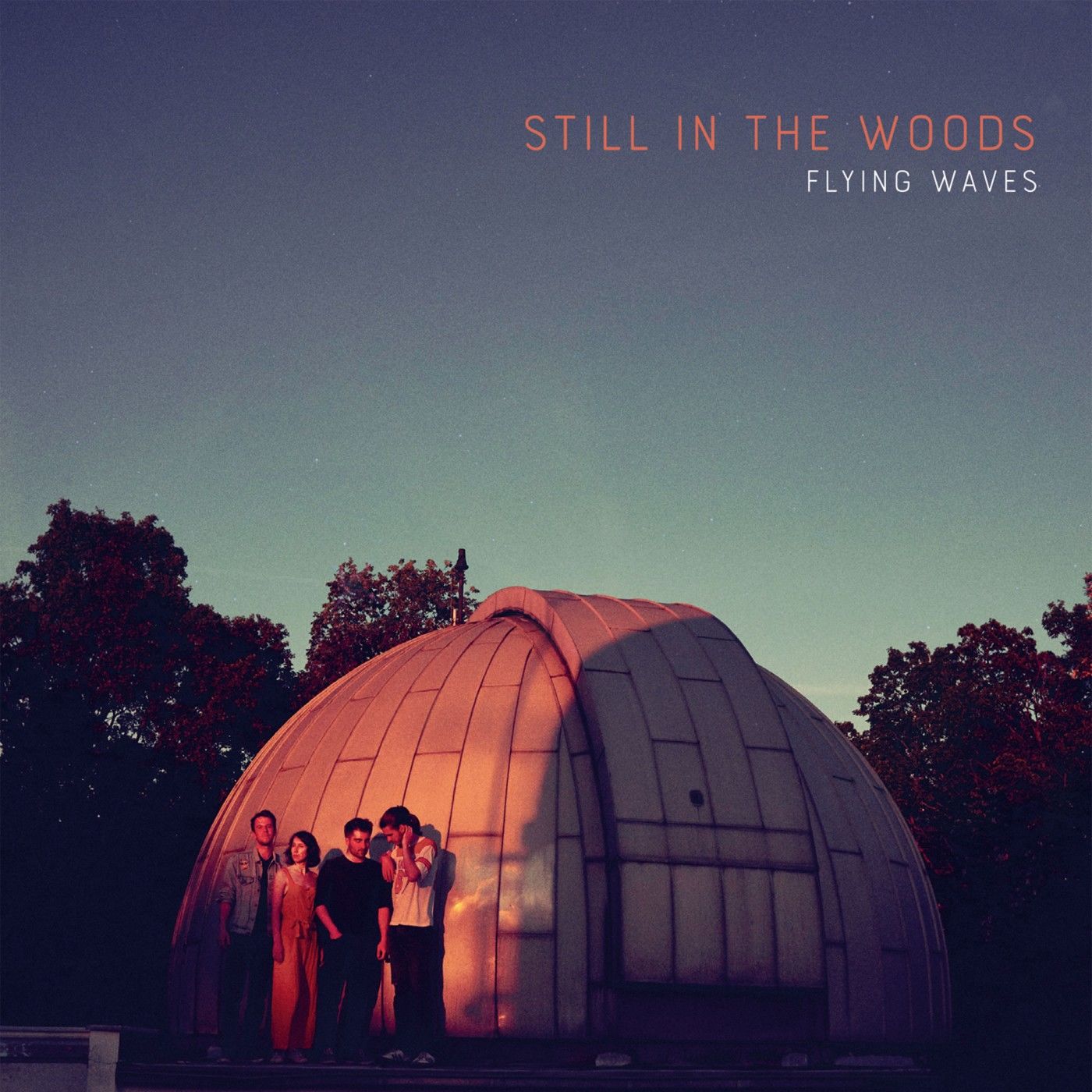 Still in the Woods - Flying Waves (2019) [FLAC 24bit/96kHz]
