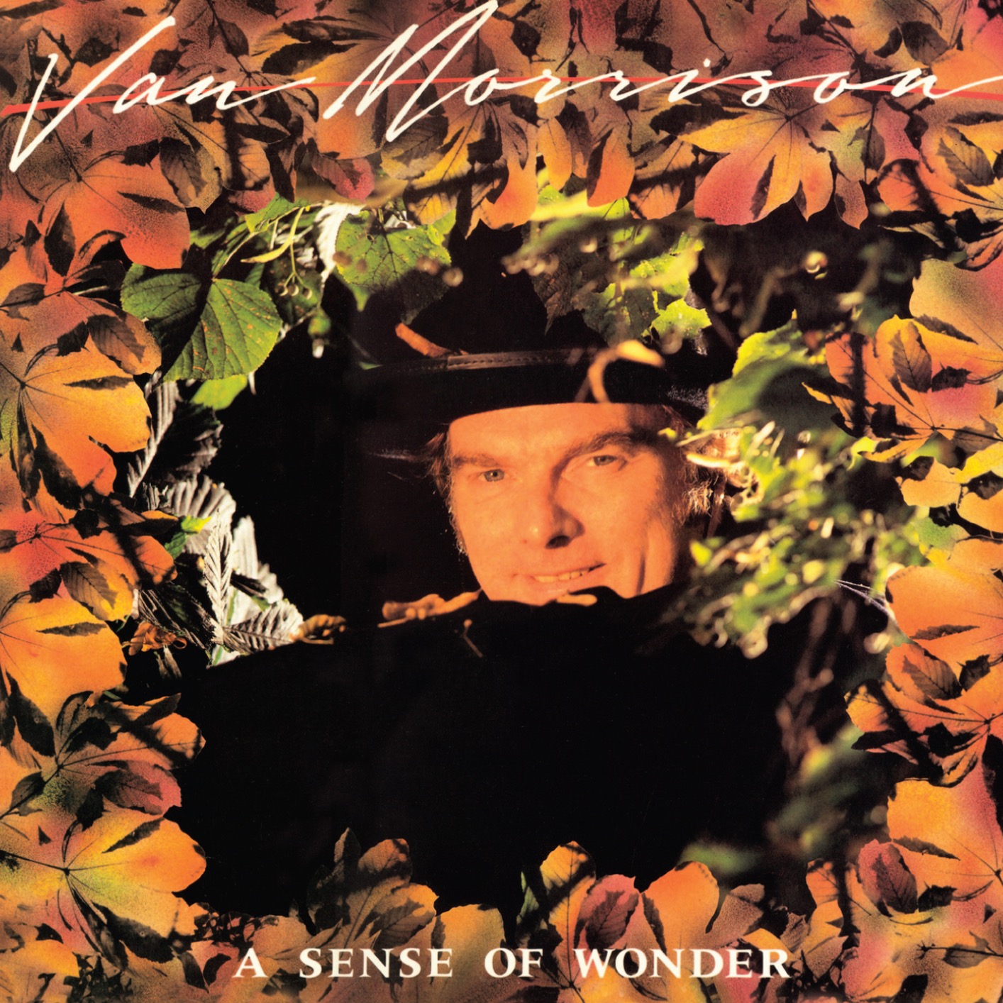 Van Morrison – A Sense of Wonder (Remastered) (1985/2020) [FLAC 24bit/96kHz]