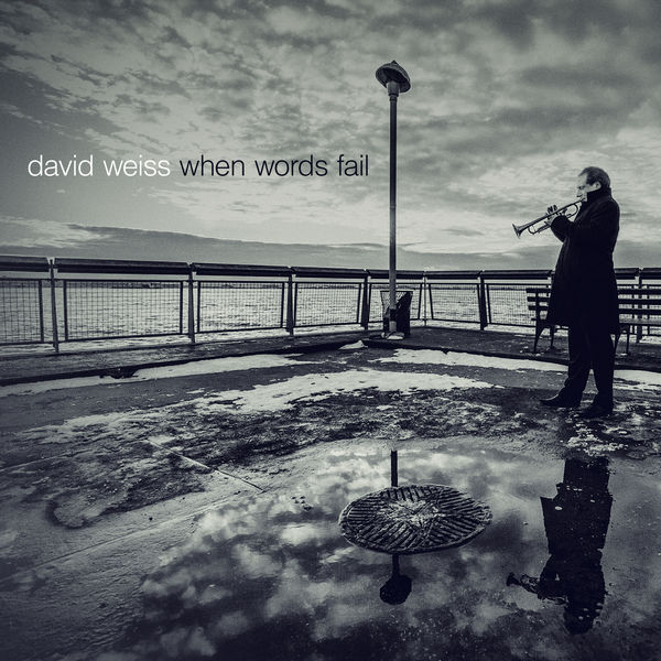 David Weiss – When Words Fail (2014) [FLAC 24bit/44,1kHz]