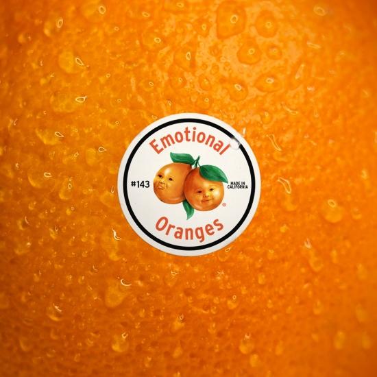 Emotional Oranges – The Juice: Vol. I (2019) [FLAC 24bit/44,1kHz]