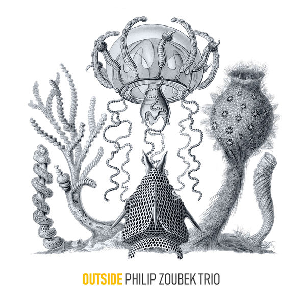Philip Zoubek Trio – Outside (2018) [FLAC 24bit/44,1kHz]