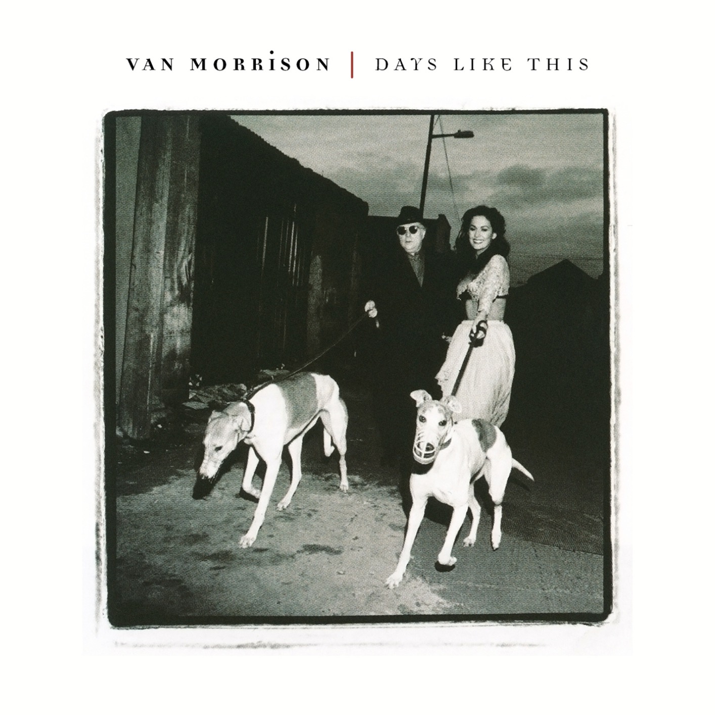 Van Morrison - Days Like This (Remastered) (2020) [FLAC 24bit/96kHz]