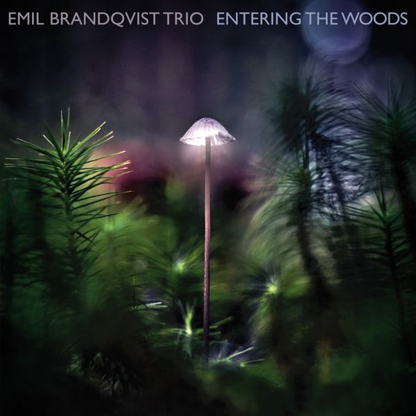 Emil Brandqvist Trio - Entering the Woods (2020) [FLAC 24bit/96kHz]