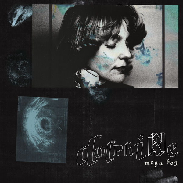Mega Bog – Dolphine (2019) [FLAC 24bit/44,1kHz]