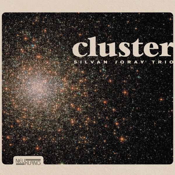Silvan Joray Trio - Cluster (2020) [FLAC 24bit/96kHz]