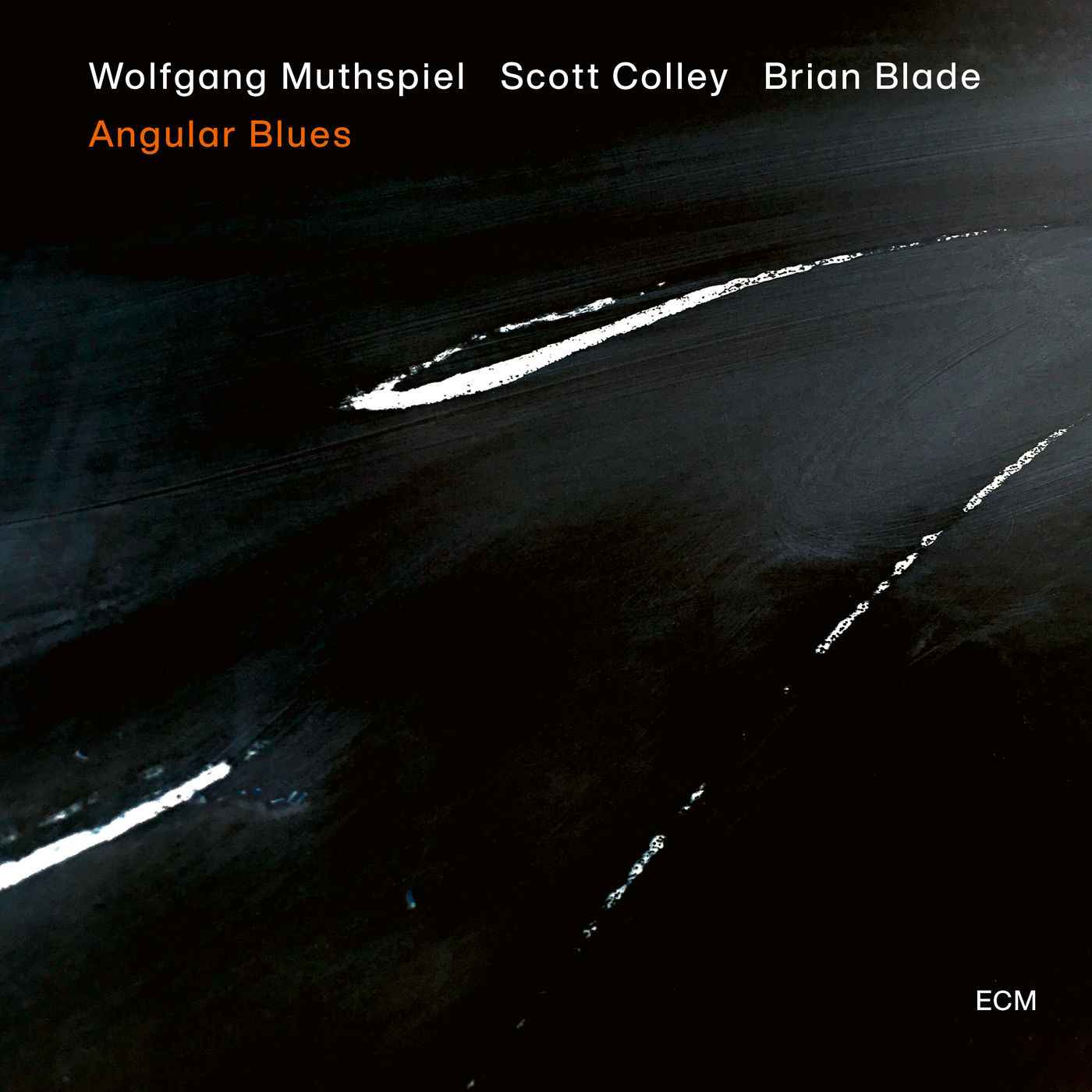 Wolfgang Muthspiel, Scott Colley, Brian Blade - Angular Blues (2020) [FLAC 24bit/96kHz]