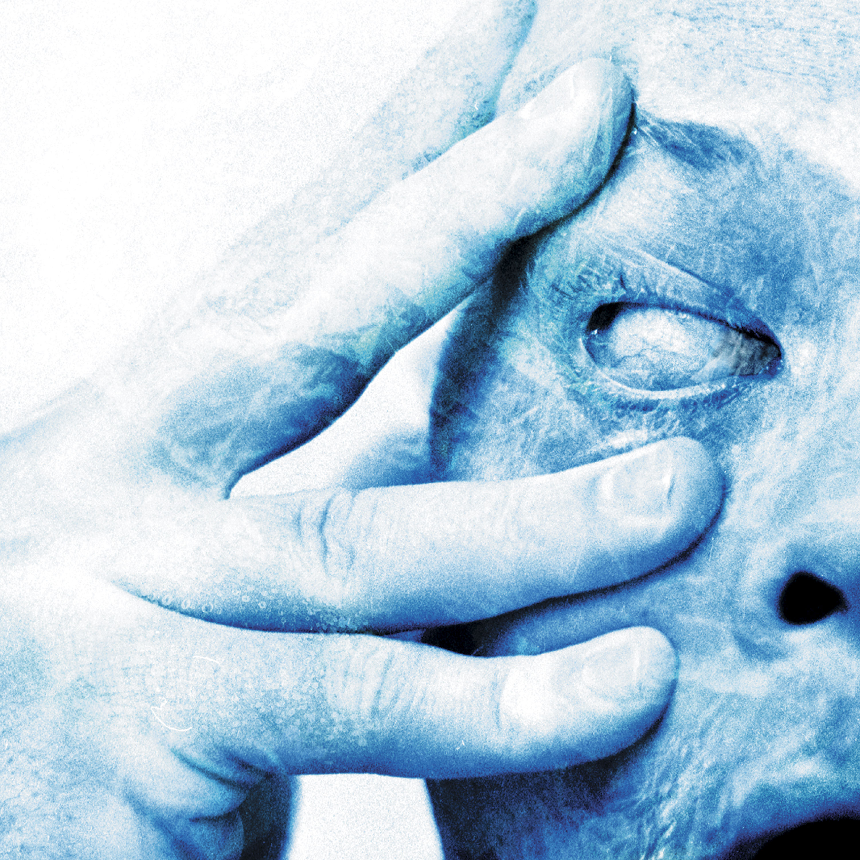 Porcupine Tree – In Absentia (Remastered) (2002/2020) [FLAC 24bit/96kHz]
