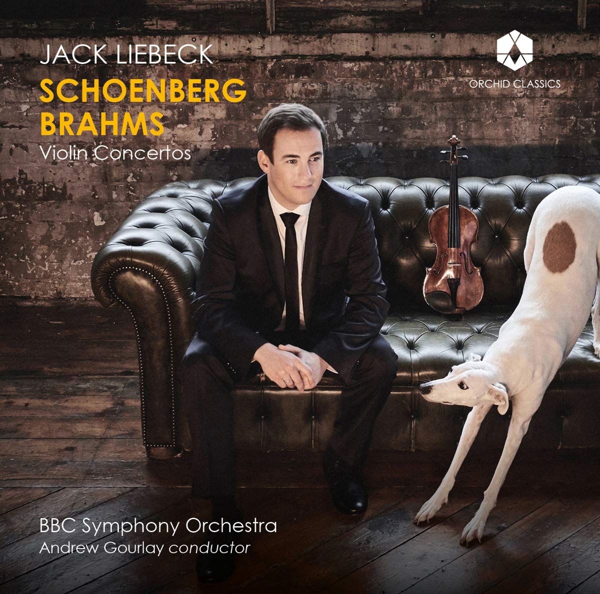 Jack Liebeck - Schoenberg & Brahms - Violin Concertos (2020) [FLAC 24bit/192kHz]