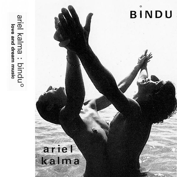 Ariel Kalma - Bindu (2020) [FLAC 24bit/44,1kHz]