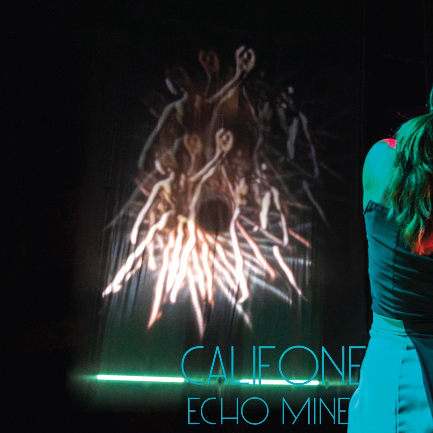 Califone - Echo Mine (2020) [FLAC 24bit/96kHz]
