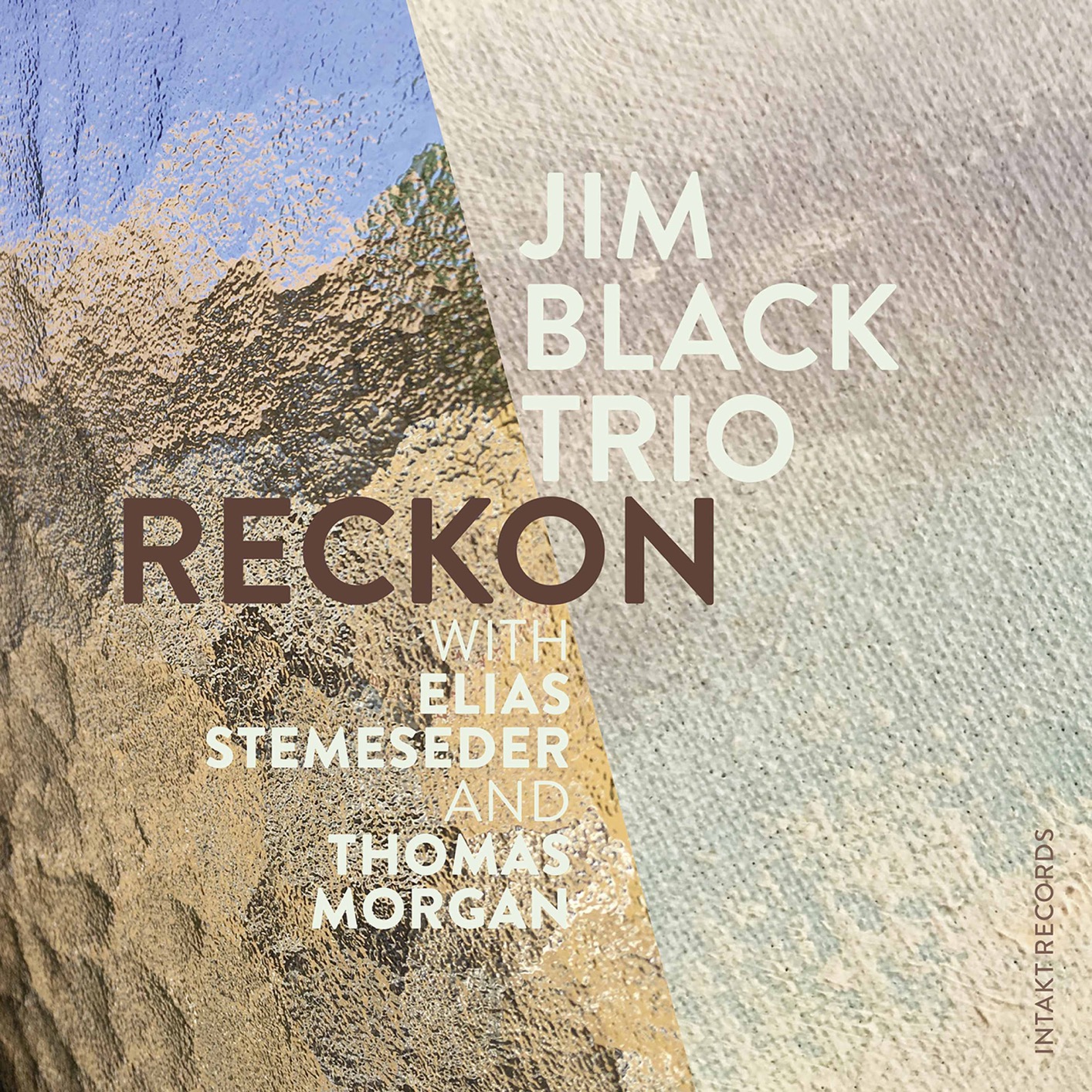 Jim Black Trio with Jim Black, Elias Stemeseder, Thomas Morgan – Reckon (2020) [FLAC 24bit/88,2kHz]