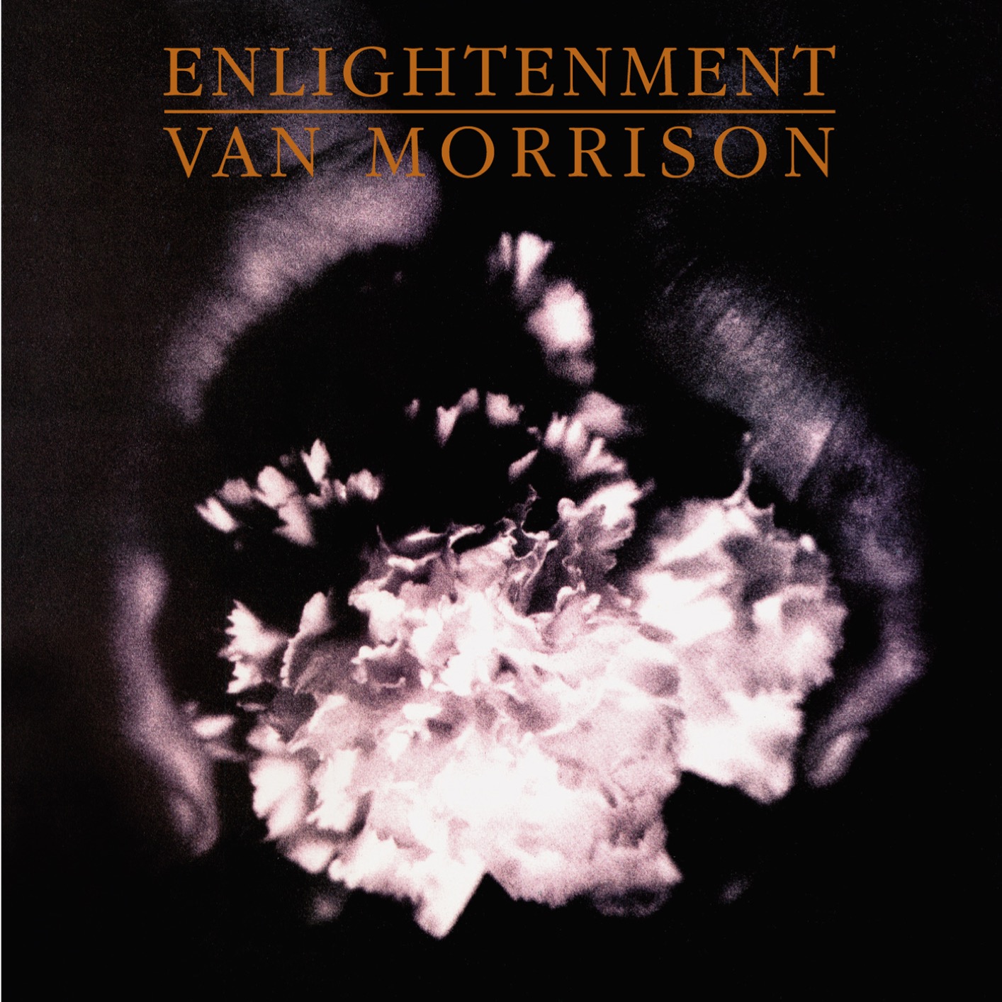 Van Morrison - Enlightenment (Remastered) (1990/2020) [FLAC 24bit/96kHz]
