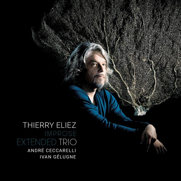 Thierry Eliez - Improse Extended (2019) [FLAC 24bit/88,2kHz]