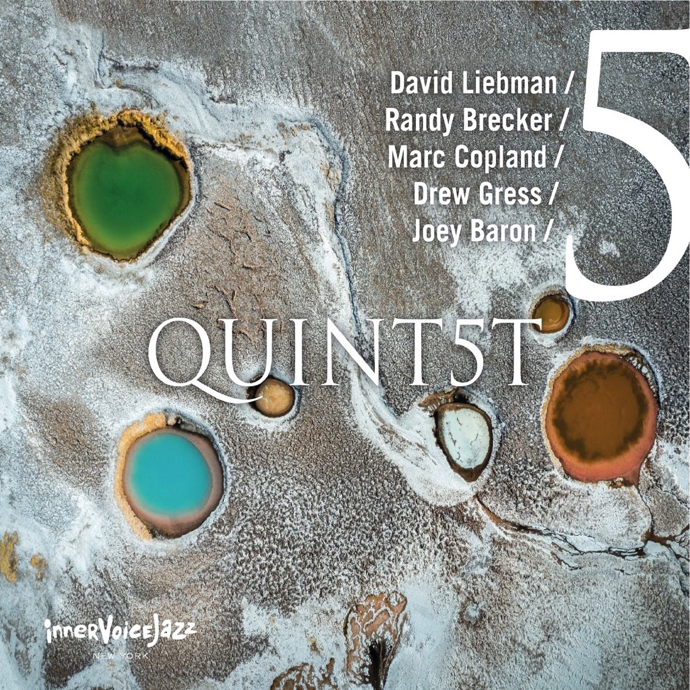 David Liebman, Randy Brecker, Marc Copland, Drew Gress Joey Baron - Quint5T (2020) [FLAC 24bit/44,1kHz]