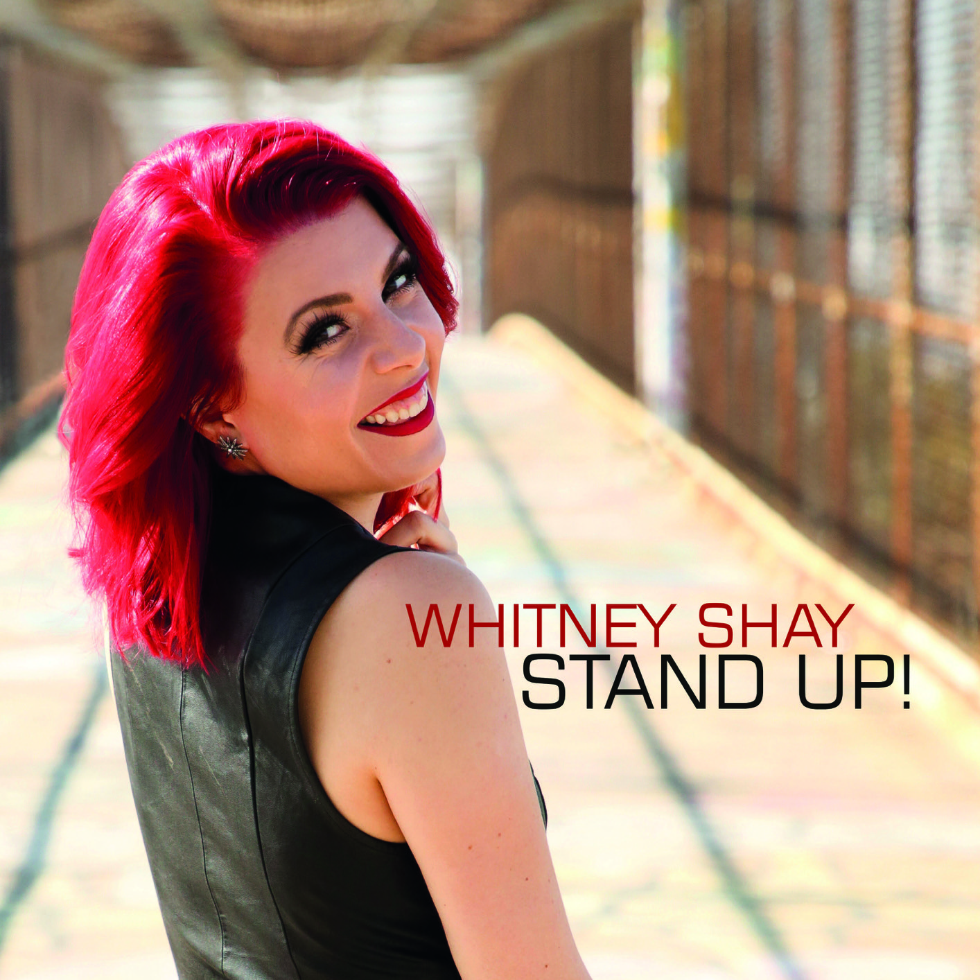 Whitney Shay - Stand Up! (2020) [FLAC 24bit/88,2kHz]