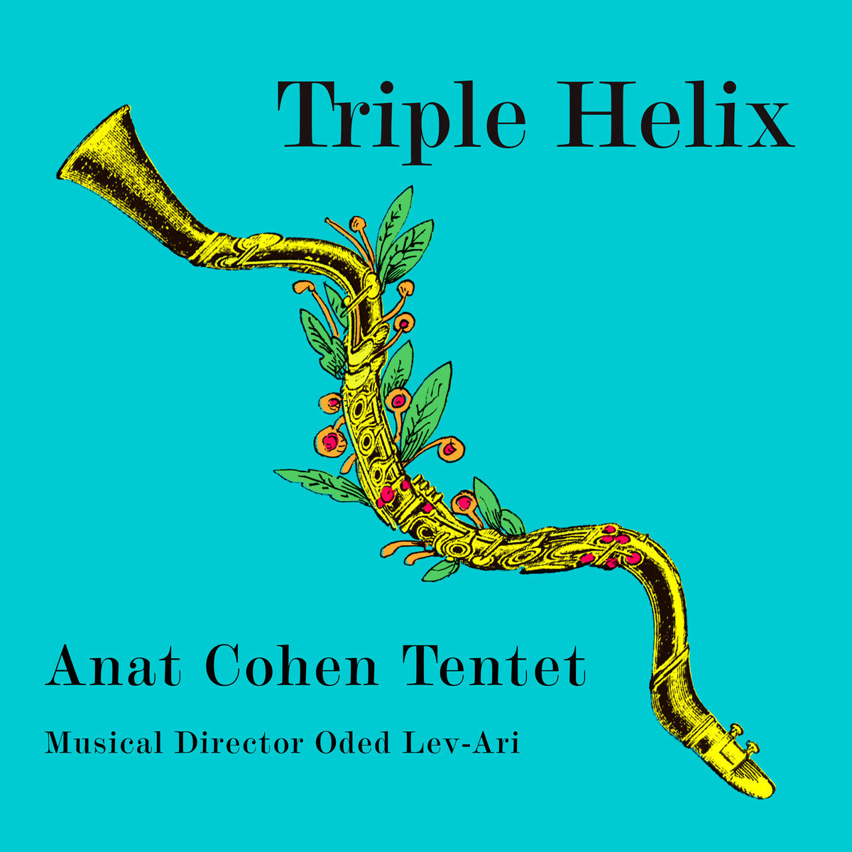 Anat Cohen Tentet - Triple Helix (2019) [FLAC 24bit/96kHz]