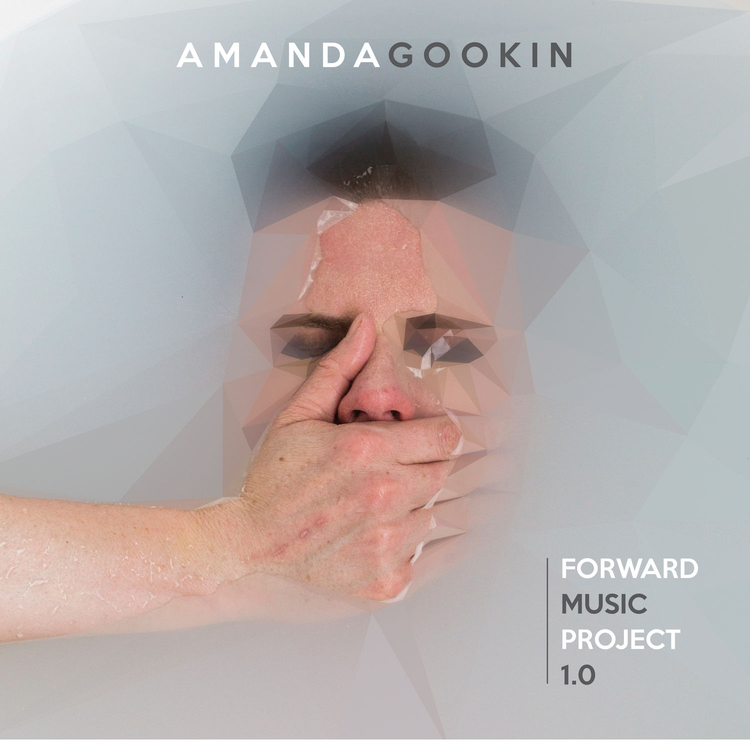 Amanda Gookin - Forward Music Project 1.0 (2020) [FLAC 24bit/96kHz]