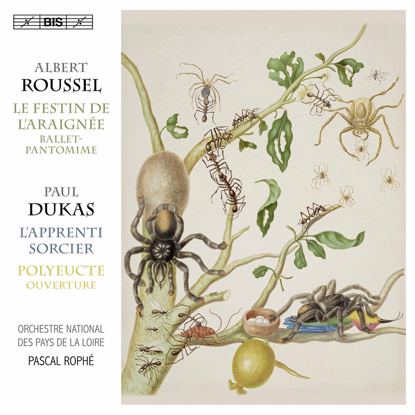 Orchestre National des Pays de la Loire & Pascal Rophe - Dukas - Roussel (2019) [FLAC 24bit/96kHz]