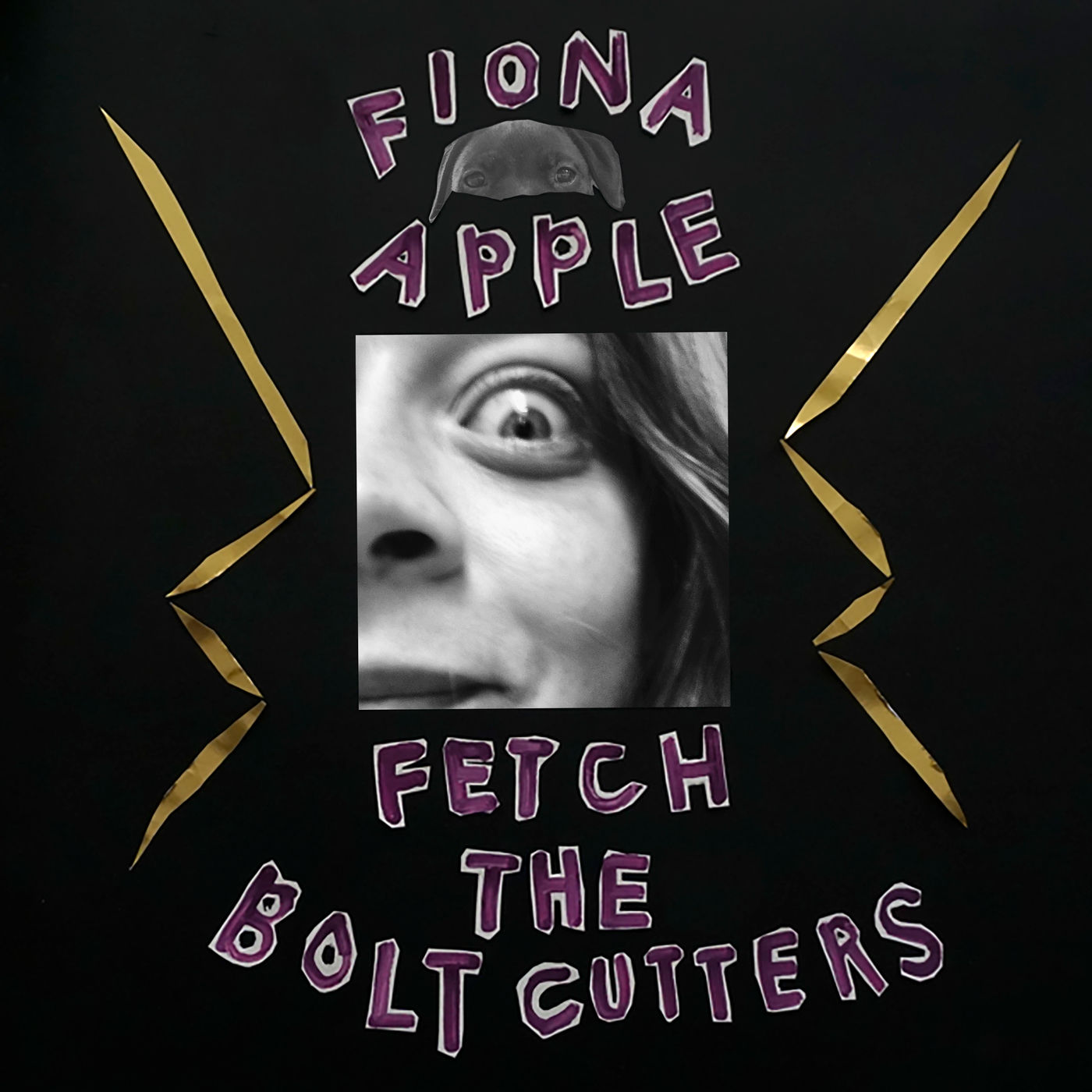 Fiona Apple – Fetch The Bolt Cutters (2020) [FLAC 24bit/48kHz]