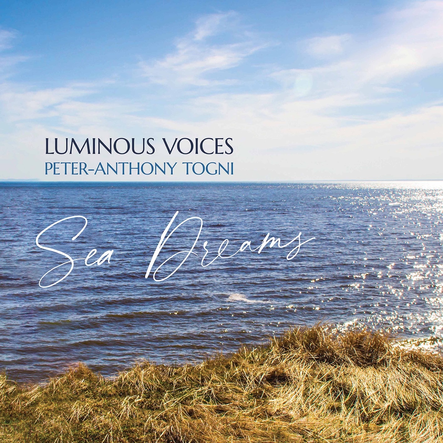 Luminous Voices - Sea Dreams (2020) [FLAC 24bit/96kHz]