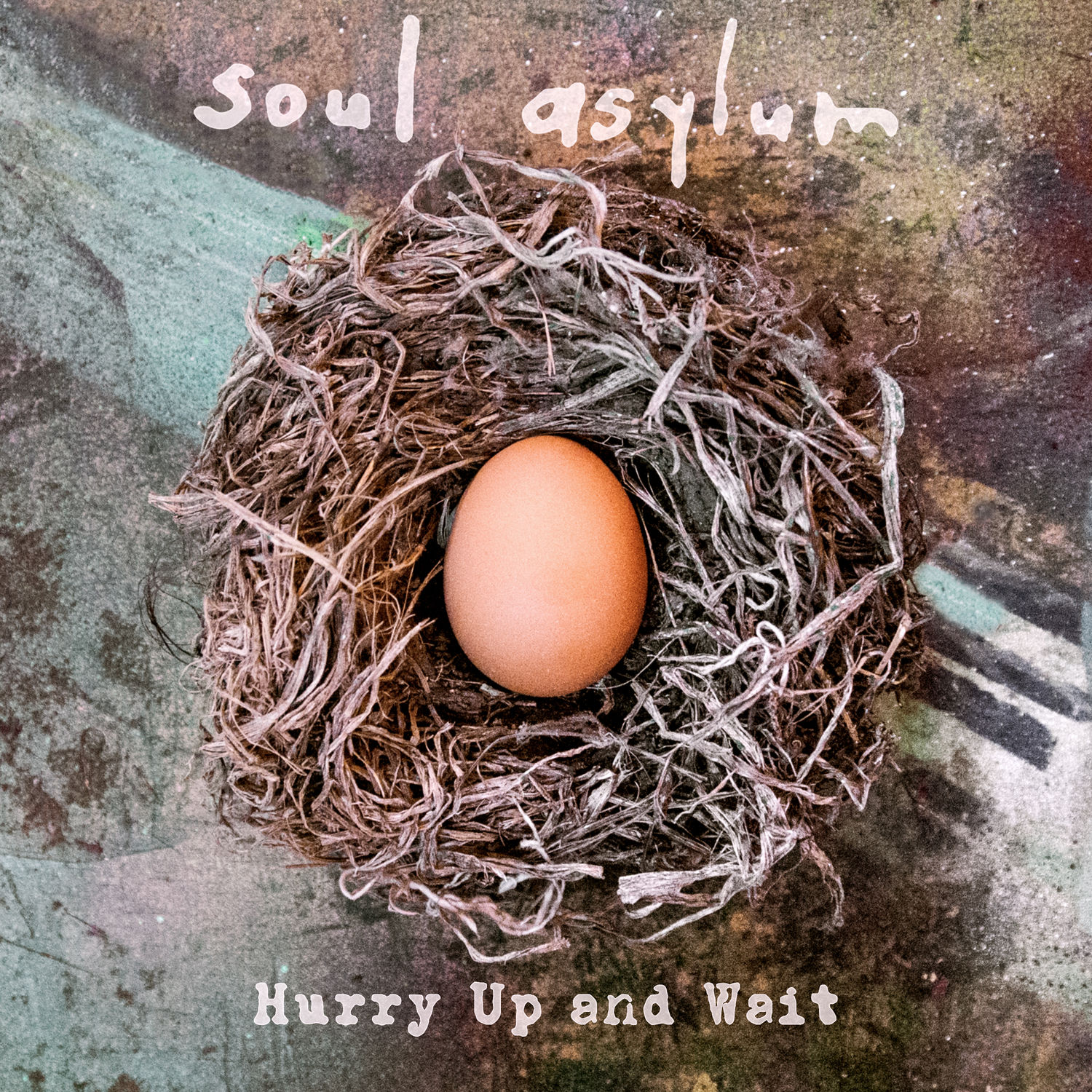Soul Asylum - Hurry Up and Wait (2020) [FLAC 24bit/96kHz]
