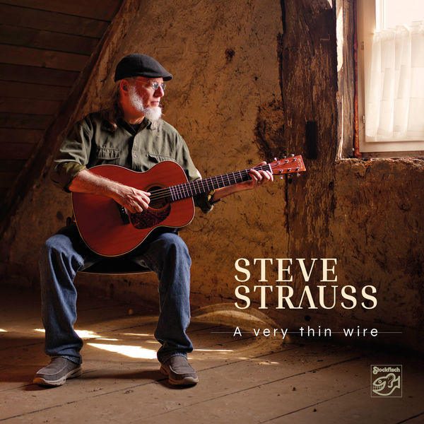 Steve Strauss - A Very Thin Wire (2020) [FLAC 24bit/88,2kHz]