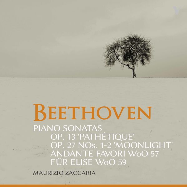 Maurizio Zaccaria - Beethoven - Piano Sonatas, Opp. 13 & 27 & Other Works (2020) [FLAC 24bit/88,2kHz]