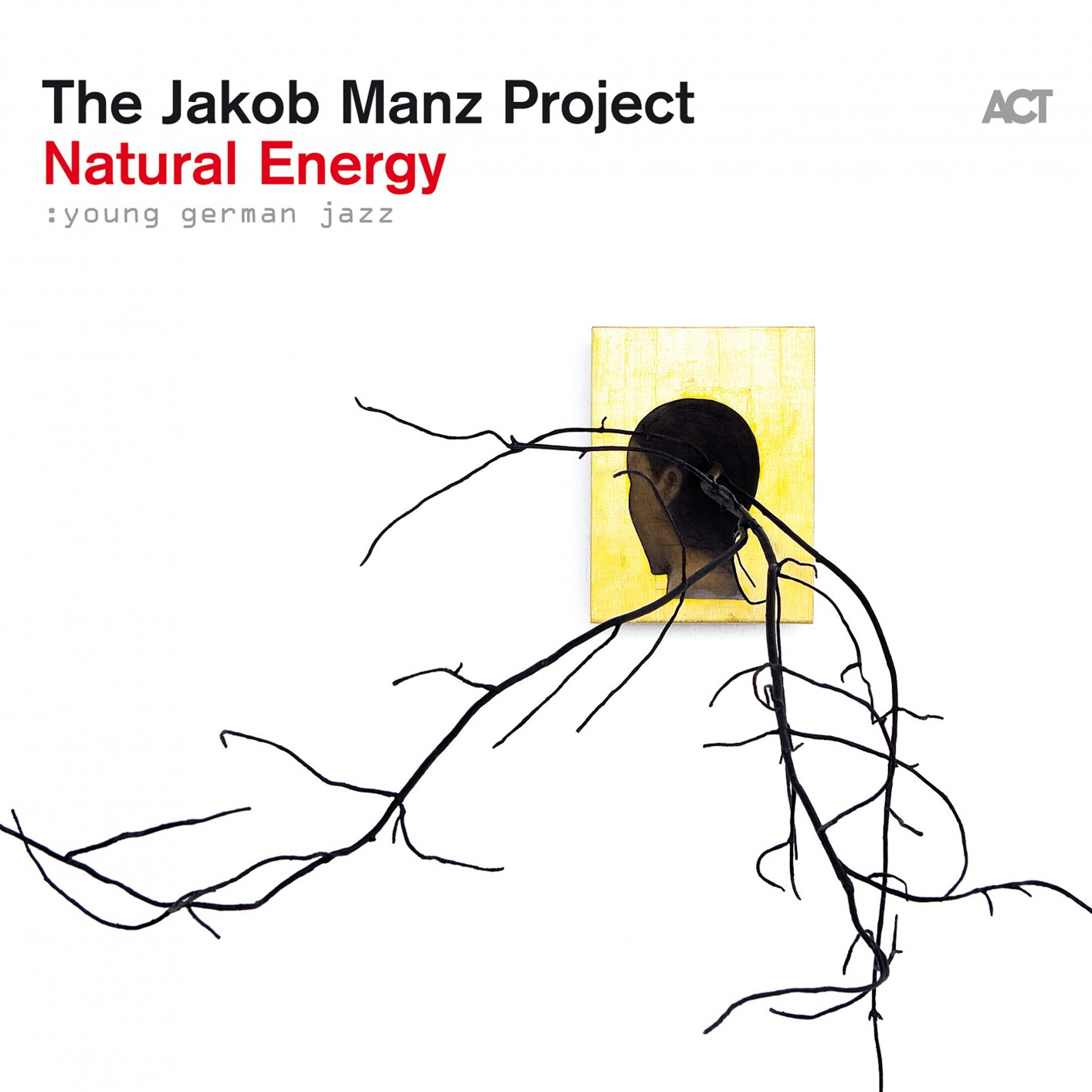 The Jakob Manz Project – Natural Energy (2020) [FLAC 24bit/96kHz]