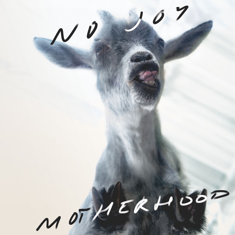 No Joy - Motherhood (2020) [FLAC 24bit/96kHz]