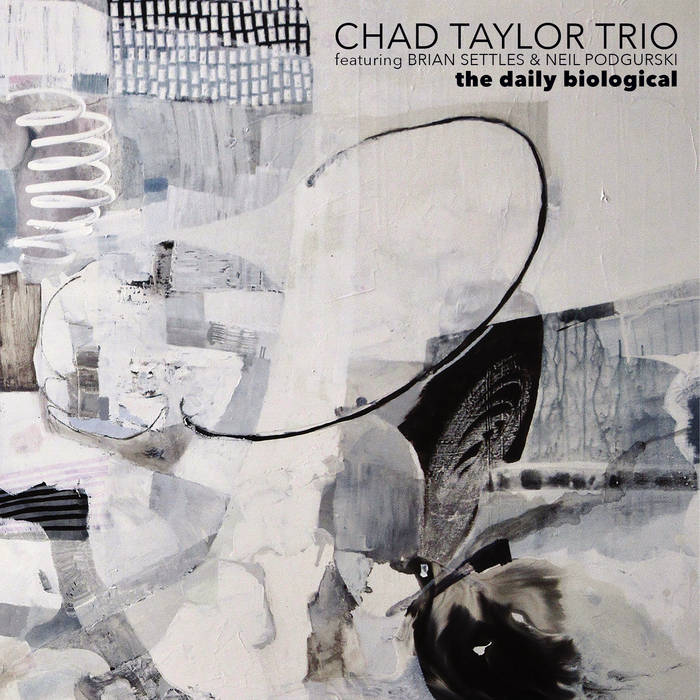 Chad Taylor Trio - The Daily Biological (2020) [FLAC 24bit/48kHz]
