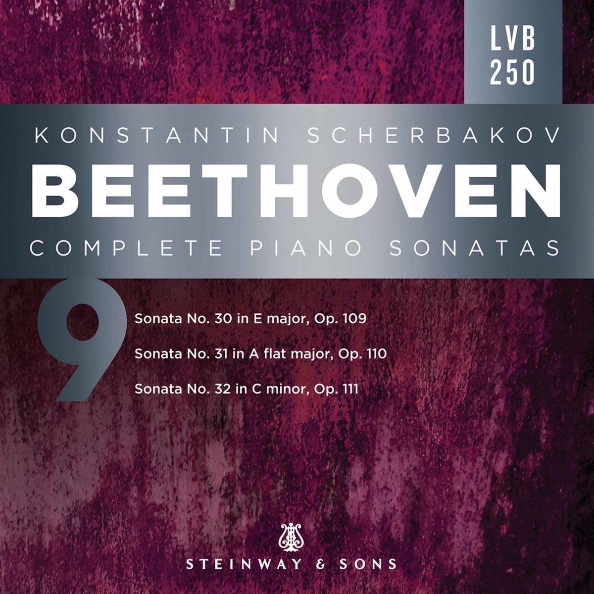 Konstantin Scherbakov - Beethoven: Complete Piano Sonatas, Vol. 9 (2020) [FLAC 24bit/96kHz]
