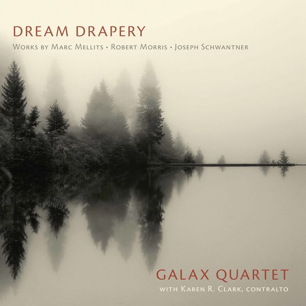 Galax Quartet, Karen R. Clark – Dream Drapery (2020) [FLAC 24bit/96kHz]