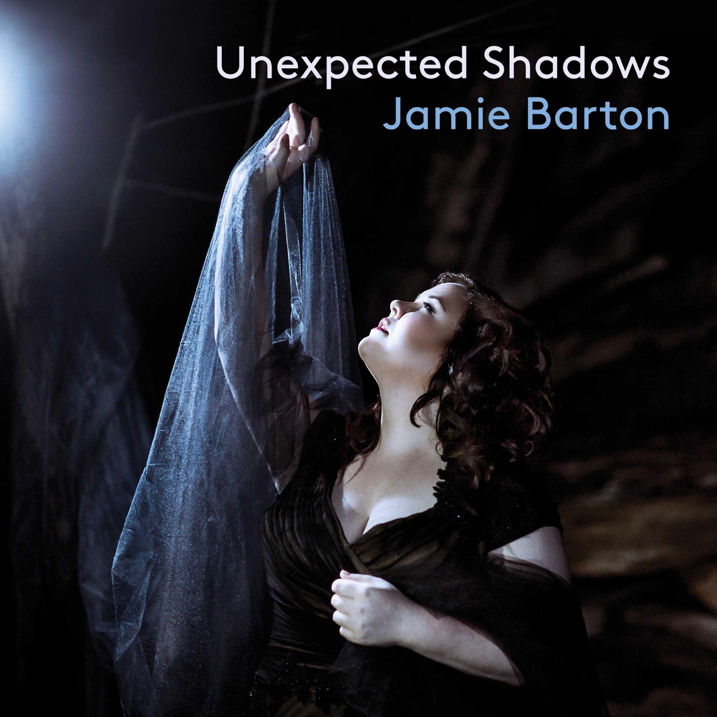 Jamie Barton, Jake Heggie, Matt Haimovitz - Jake Heggie - Unexpected Shadows (2020) [FLAC 24bit/96kHz]