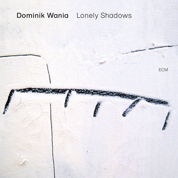 Dominik Wania – Lonely Shadows (2020) [FLAC 24bit/96kHz]
