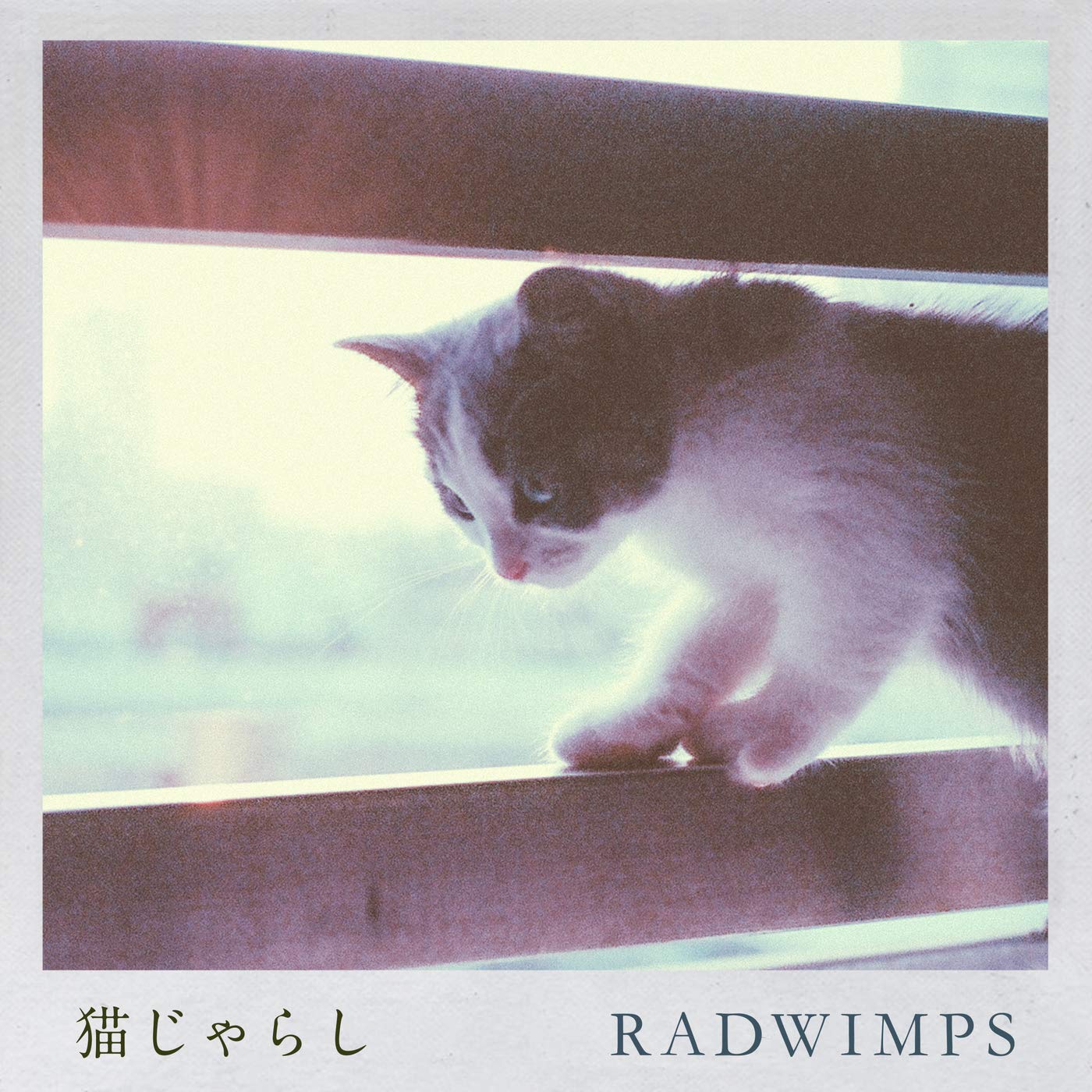 RADWIMPS – 猫じゃらし [Mora FLAC 24bit/48kHz]
