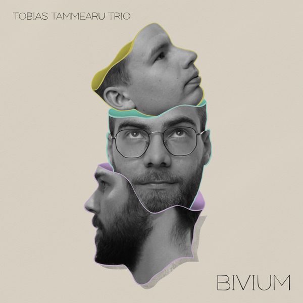 Tobias Tammearu Trio – Bivium (2020) [FLAC 24bit/48kHz]