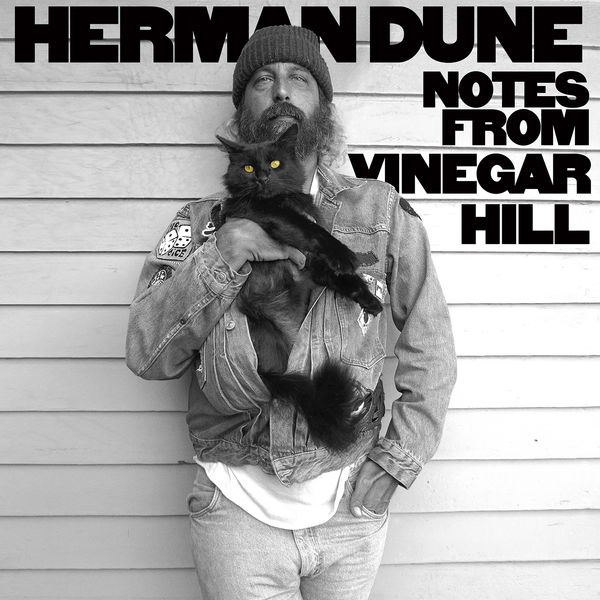 Herman Dune - Notes from Vinegar Hill (2020) [FLAC 24bit/44,1kHz]