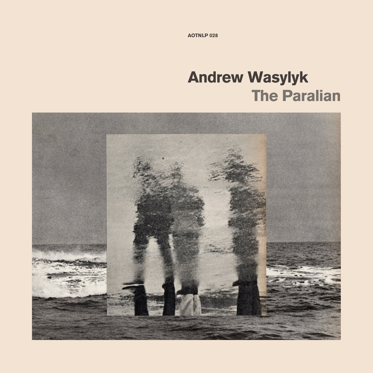 Andrew Wasylyk – The Paralian (2019) [FLAC 24bit/96kHz]